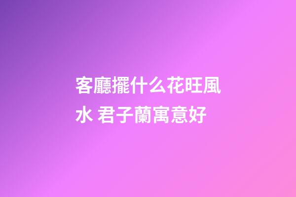 客廳擺什么花旺風水 君子蘭寓意好